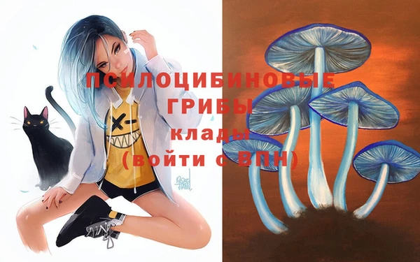 стафф Киреевск