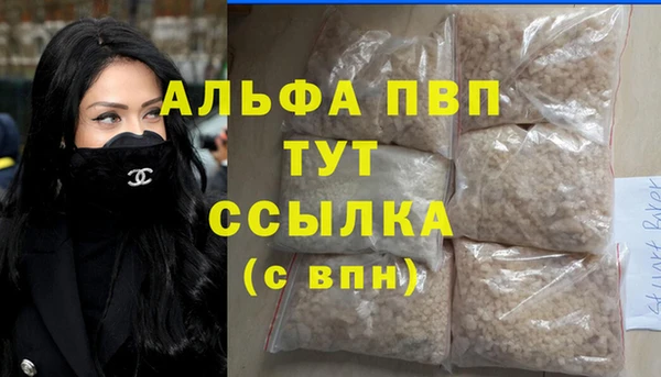 PSILOCYBIN Кодинск