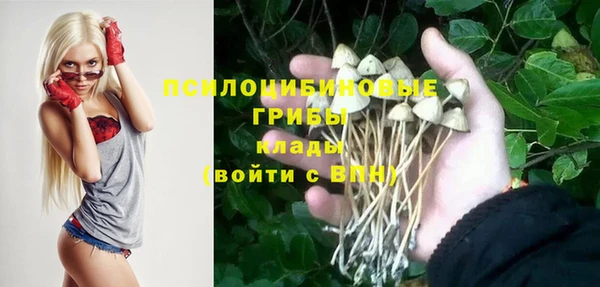 стафф Киреевск