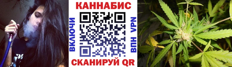 Купить закладки  Закаменск  Шишки марихуана планчик 
